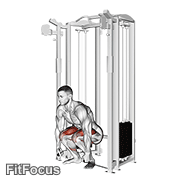 Cable Deadlift GIF — animated legs exercise demonstration