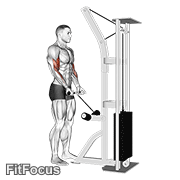 Cable Drag Curl GIF — animated arms exercise demonstration
