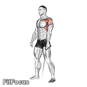 Cable Forward Raise GIF