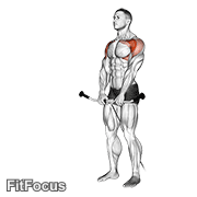 Cable Front Raise GIF