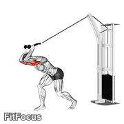 Cable High Pulley Overhead Tricep Extension GIF