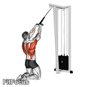 Cable High Row (kneeling) GIF
