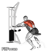 Cable Incline Bench Row GIF