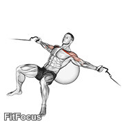 Cable Incline Fly (on Stability Ball) GIF