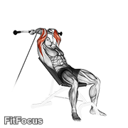 Cable Incline Triceps Extension GIF