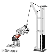 Cable Kneeling Crunch GIF