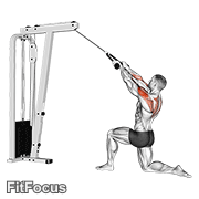 Cable Kneeling Rear Delt Row (with Rope) (male)
