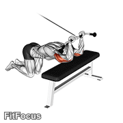 Cable Kneeling Triceps Extension GIF