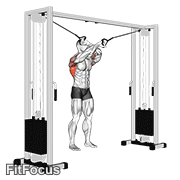 Cable Lat Pulldown Full Range Of Motion GIF