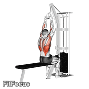 Cable Lateral Pulldown With V-bar GIF