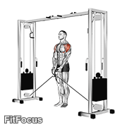 Cable Lateral Raise GIF