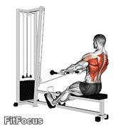 Cable Low Seated Row GIF — animated back exercise demonstration