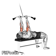 Cable Lying Close-grip Curl GIF