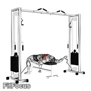 Cable Lying Fly (lying cable fly) GIF — animated chest exercise demonstration
