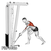 Cable One Arm Bent Over Row GIF