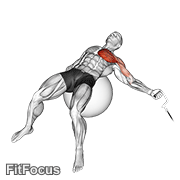 Cable One Arm Fly On Exercise Ball GIF