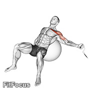 Cable One Arm Incline Fly On Exercise Ball GIF