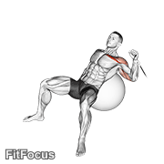 Cable One Arm Incline Press On Exercise Ball GIF