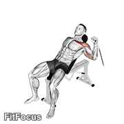 Cable One Arm Incline Press GIF
