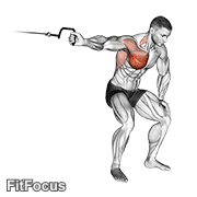Cable One Arm Lateral Bent-over GIF