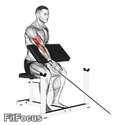 Cable One Arm Preacher Curl GIF