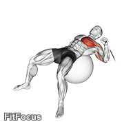 Cable One Arm Press On Exercise Ball GIF