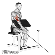 Cable One Arm Reverse Preacher Curl GIF