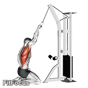 Cable One Arm Straight Back High Row (kneeling)