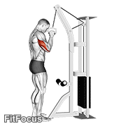 Cable One Arm Tricep Pushdown GIF
