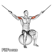 Cable Overhead Curl On Exercise Ball GIF
