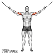 Cable Overhead Curl GIF — animated arms exercise demonstration