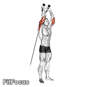 Cable Overhead Triceps Extension (rope Attachment) GIF