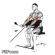 Cable Preacher Curl GIF — animated arms exercise demonstration