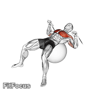 Cable Press On Exercise Ball GIF