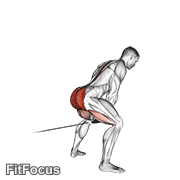 Cable Pull Through (with Rope) GIF