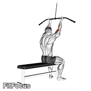 Cable Pulldown Bicep Curl GIF