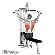 Cable Pulldown (pro Lat Bar) GIF