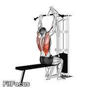 Cable Pulldown GIF