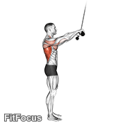 Cable Pushdown (straight Arm) V. 2 GIF