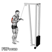 Cable Pushdown GIF