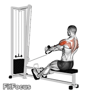 Cable Rear Delt Row (stirrups) GIF
