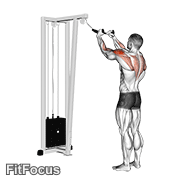 Cable Rear Delt Row (with Rope) GIF