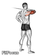 Cable Rear Drive GIF — animated arms exercise demonstration