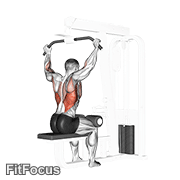 Cable Rear Pulldown GIF