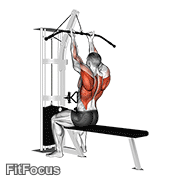 Cable Reverse-grip Straight Back Seated High Row