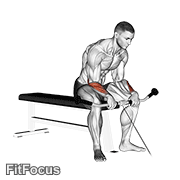Cable Reverse Wrist Curl GIF — animated arms exercise demonstration
