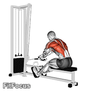 Cable Rope Crossover Seated Row