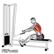Cable Rope Elevated Seated Row