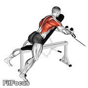 Cable Rope Extension Incline Bench Row GIF