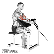 Cable Rope Hammer Preacher Curl GIF